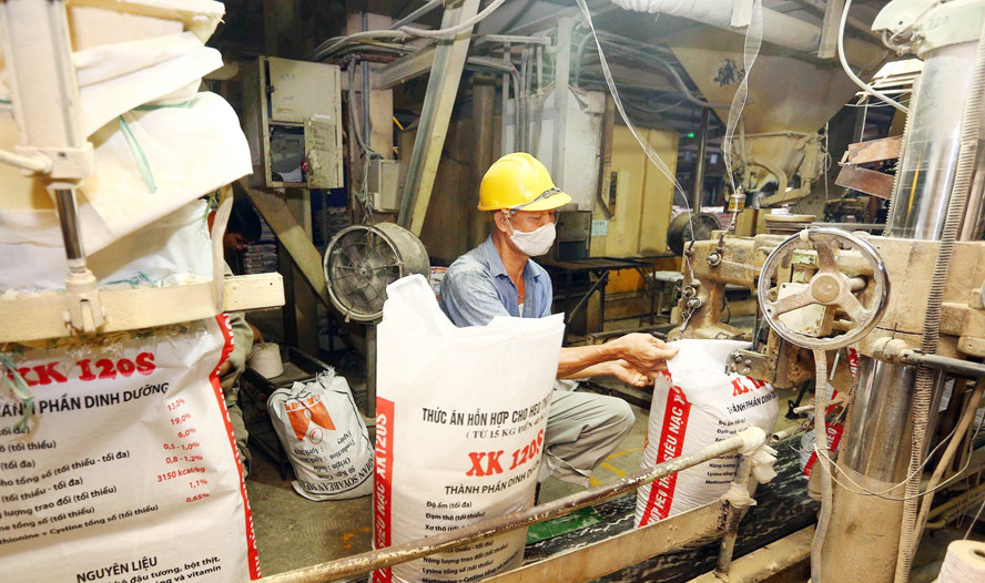 Nhà máy thức ăn chăn nuôi